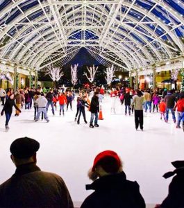 Reston Ice Skating (seasonal)